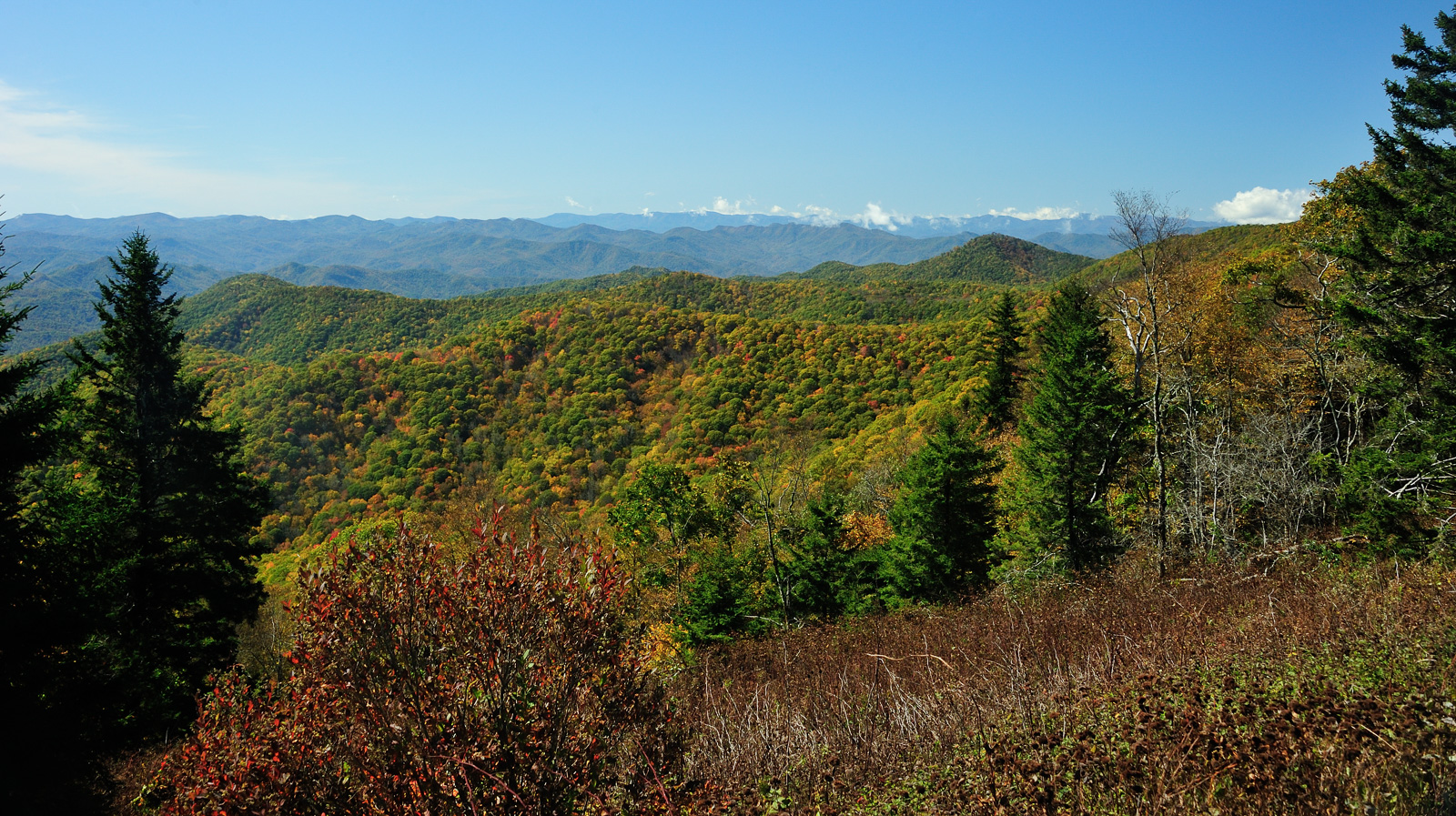 Blue Ridge Parkway [35 mm, 1/100 sec at f / 11, ISO 400]